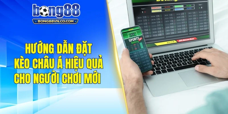 Hướng dẫn đặt kèo Châu Á hiệu quả cho người chơi mới 